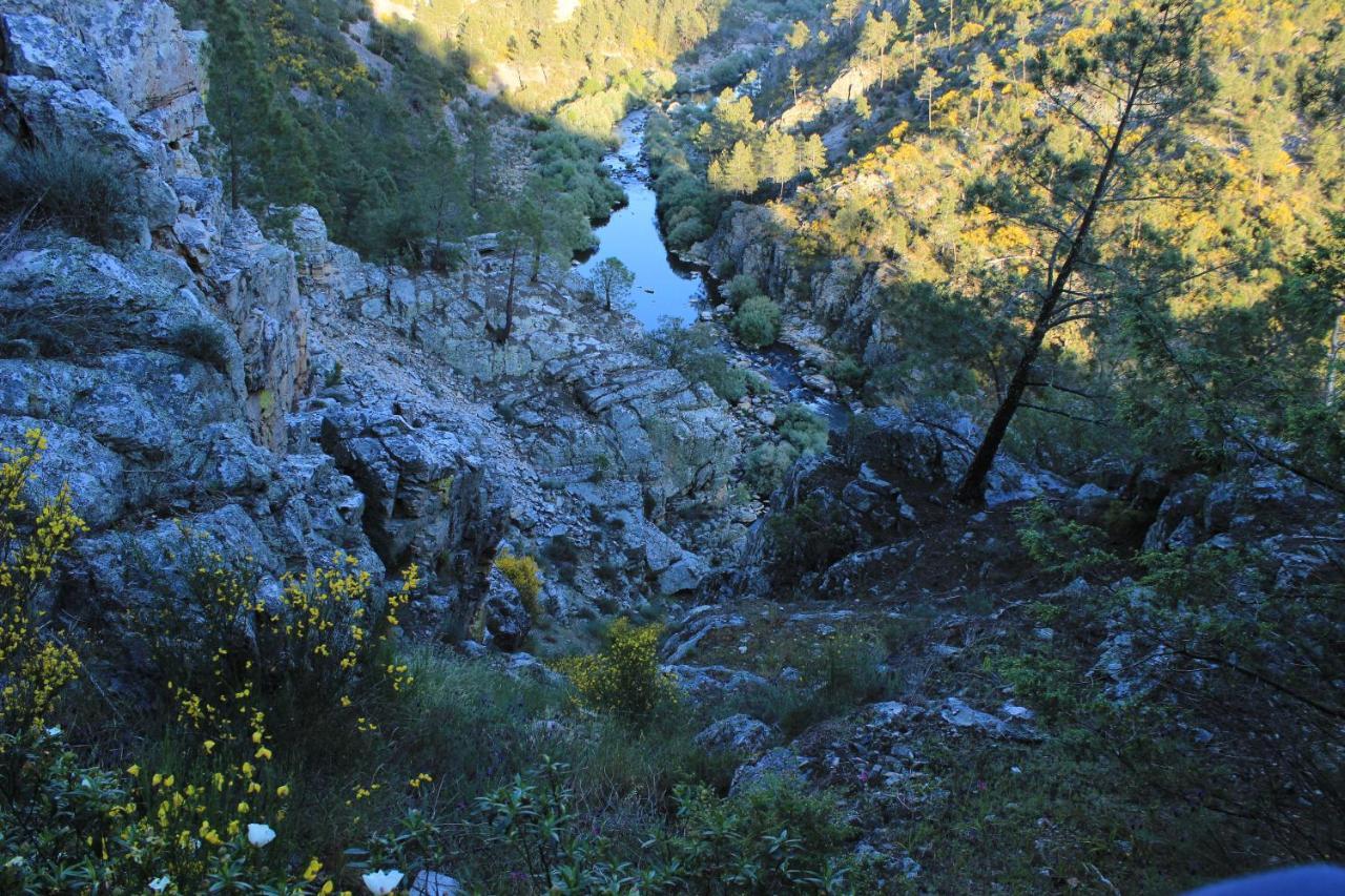 O Palheiro - Vista Panoramica E Jacuzzi Vendégház Sobreira Formosa Kültér fotó