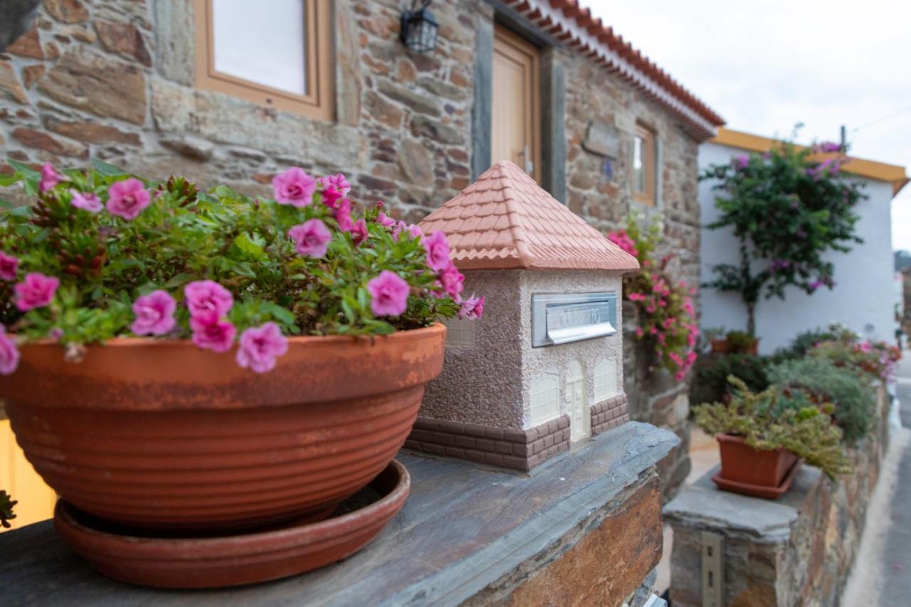 O Palheiro - Vista Panoramica E Jacuzzi Vendégház Sobreira Formosa Kültér fotó